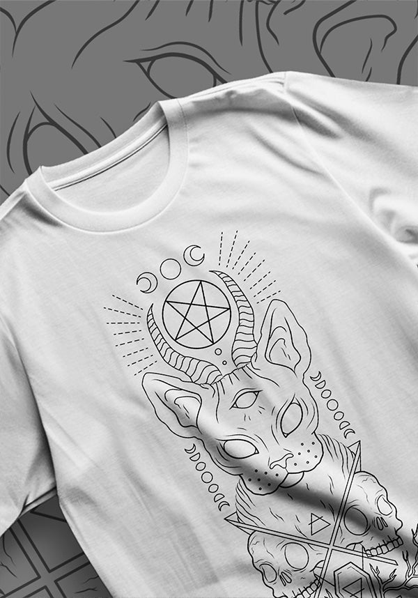 Berserk's Devon Hex White Men's Regular Fit T-Shirt