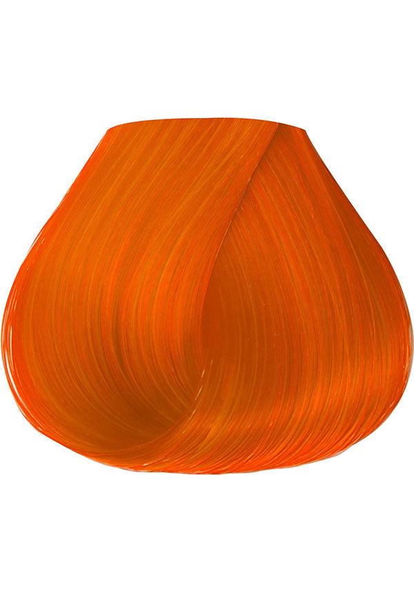 Sunrise Orange Semi - Permanent HAIR COLOUR for Vibrant Results