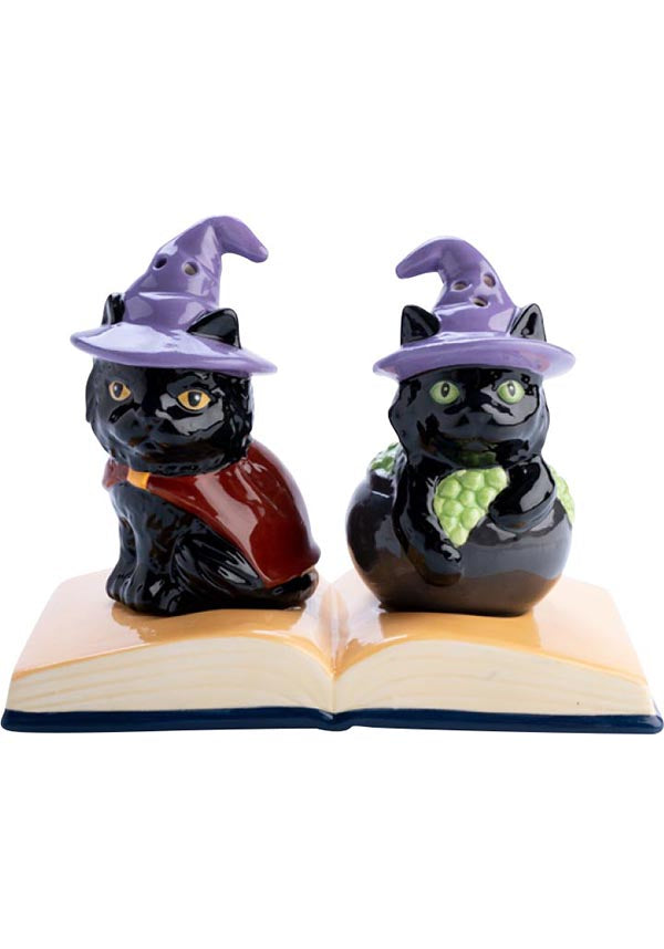 Enchanting Black Cat - Themed Salt & Pepper Shaker Set