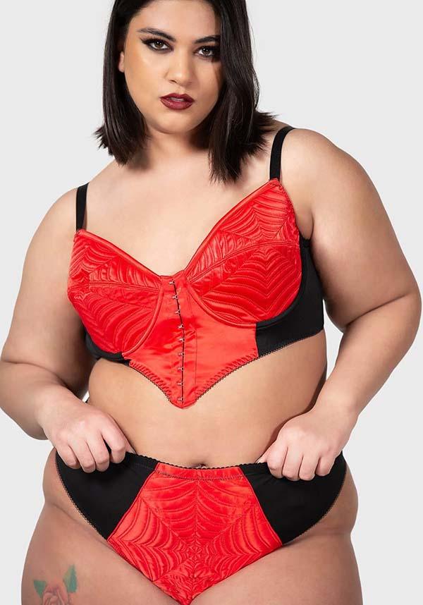 Scarlet Soft-Stretch Spiderweb High-Waisted Panty