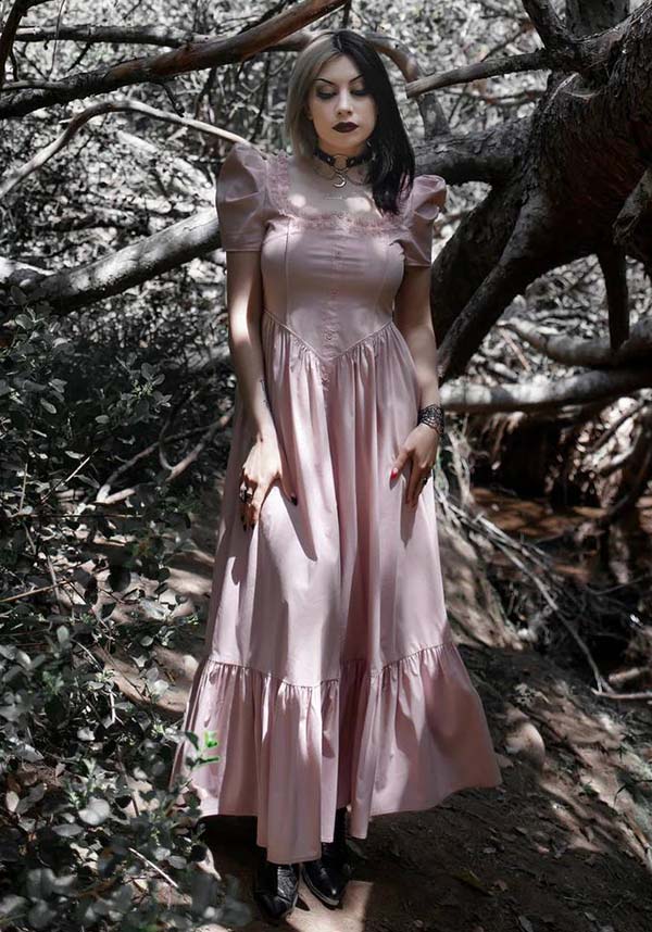 Lively Ghosts' Pastel Rose Gothic Lace Dress - Timeless Elegance