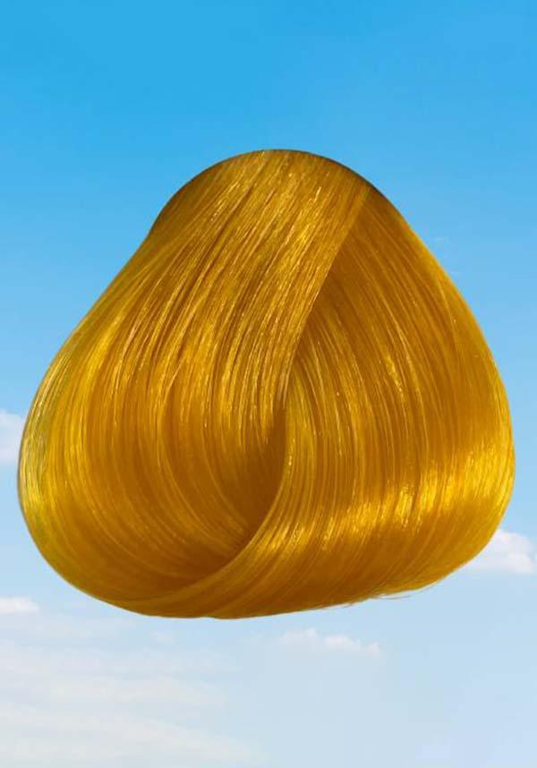 Sunflower Hair Dye | Vegan & Cruelty-Free Hair Colouring Product [100ML]