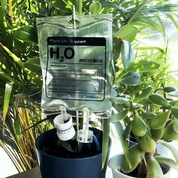 Indoor Plant Automatic Waterer - Life Support for Your Green Friends