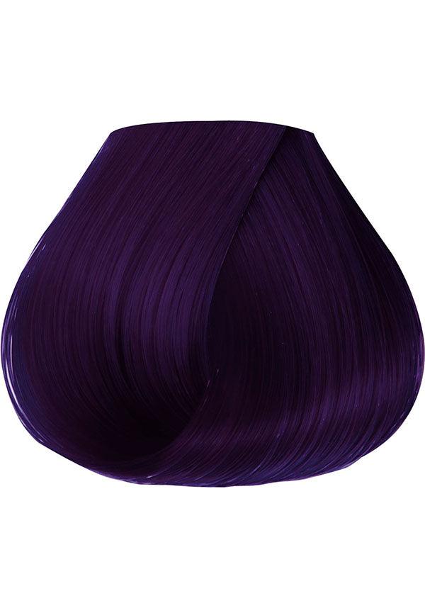 Rich Eggplant Semi - Permanent Hair Colour by Adore