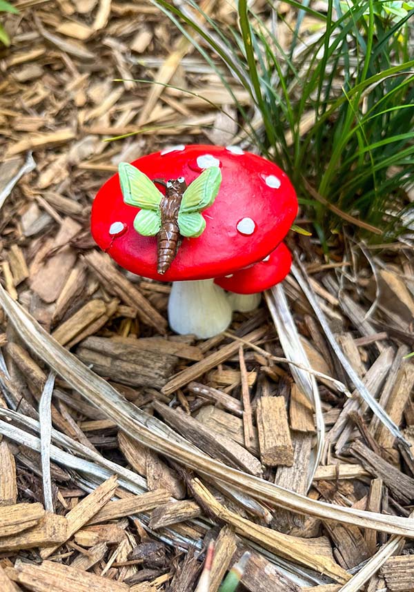 Gothic Gifts: Enchanting Blue or Green Dragonfly Red Mushroom Decor