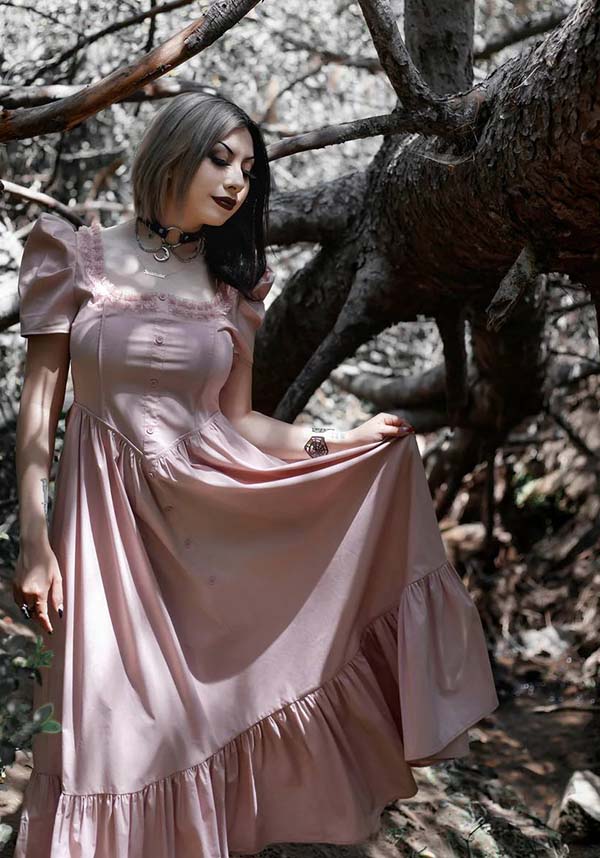 Lively Ghosts' Pastel Rose Gothic Lace Dress - Timeless Elegance
