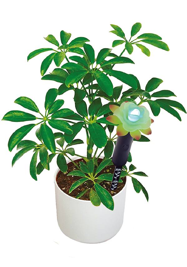 Mayhem UK | Smart Flower Moisture Sensor for Healthy Plants