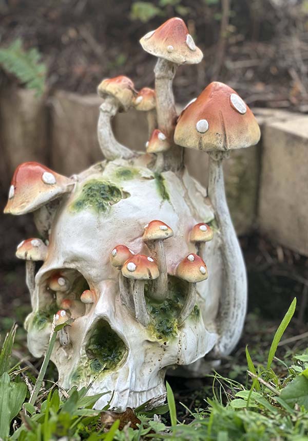 Orange Magic Mushroom Decorative Antique Skull for Gothic Home Decor