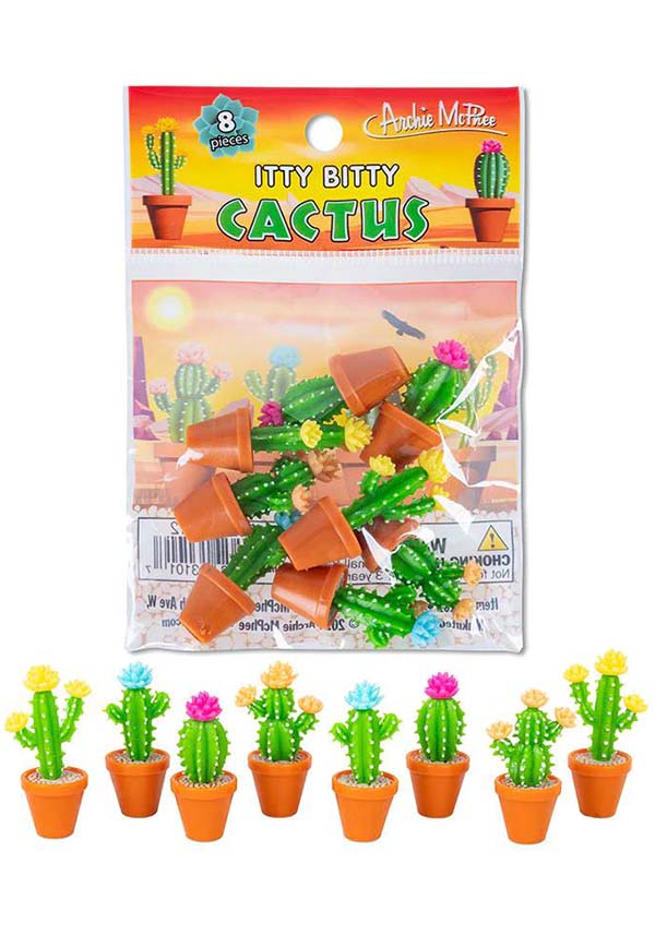 Adorable Soft Vinyl Itty Bitty Cacti with Vibrant Flowers