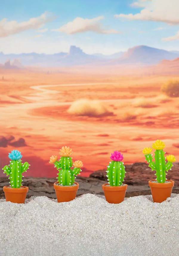 Adorable Soft Vinyl Itty Bitty Cacti with Vibrant Flowers