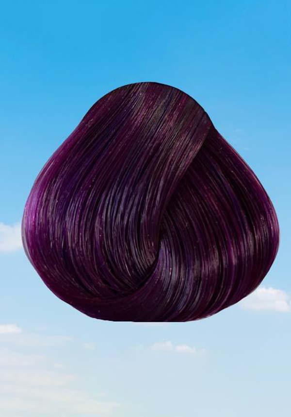 100ml Plum Vegan & Cruelty-Free Hair Colour for a Red-Purple Shine