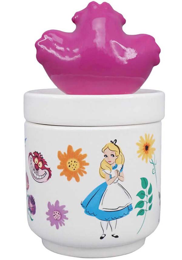 Disney Alice in Wonderland Collector's Box: A Magical Gift for Fans