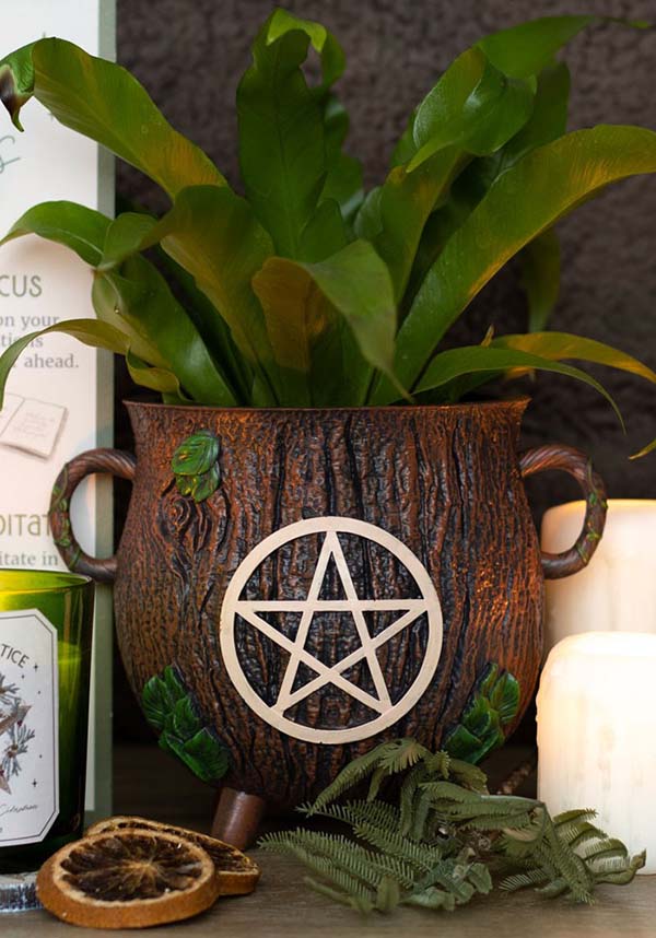 Resin Pentagram Bark Effect Cauldron - Ideal Plant Pot for Magical Planting