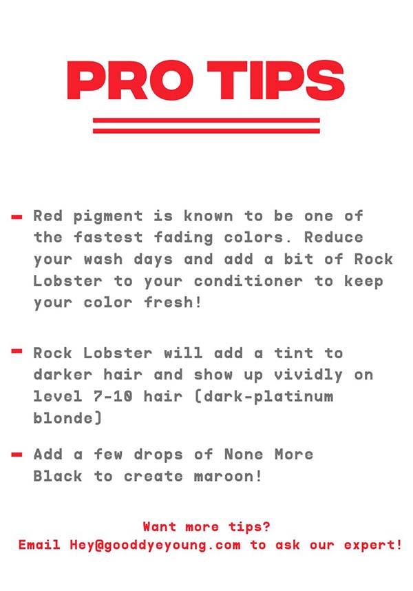 Vegan & Cruelty-Free Rock Lobster Red Hair Colour - 5 oz Tube