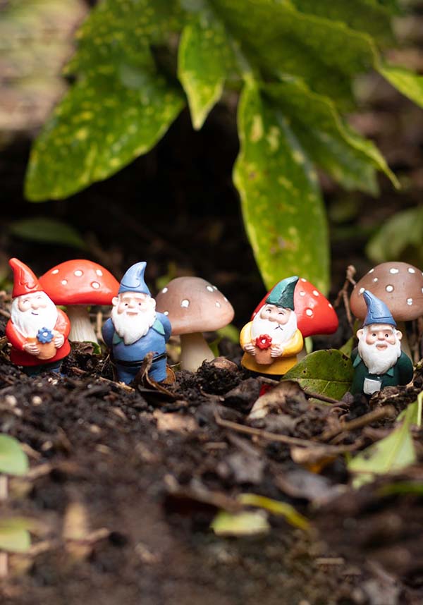 Miniature Mushroom Decorative Trinkets | PLANT POT PALS for Fairy Gardens and Planters