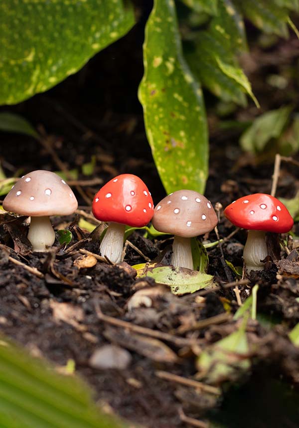 Miniature Mushroom Decorative Trinkets | PLANT POT PALS for Fairy Gardens and Planters