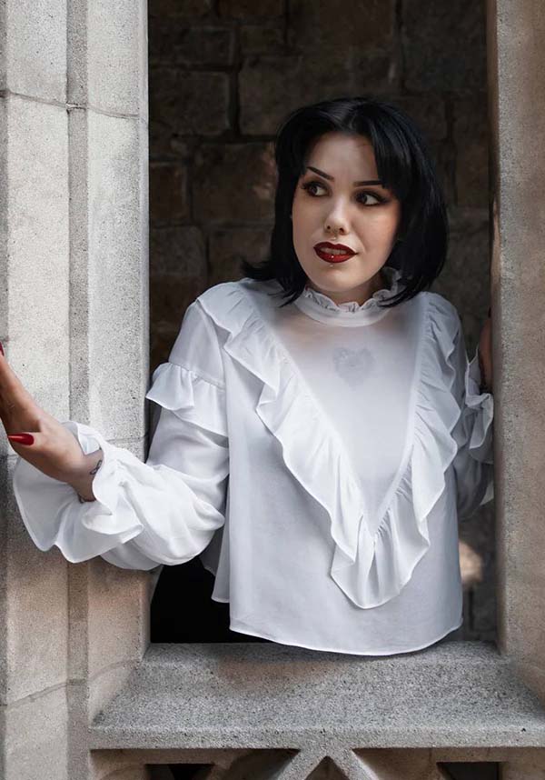 Vintage-Inspired Phantasm Long Sleeve Chiffon Top