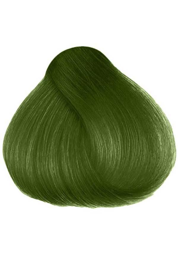 Herman's Professional Vegan Jorge Moss Green Semi-Permanent Hair Colour