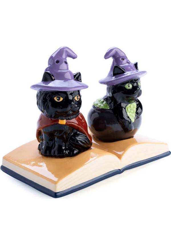 Enchanting Black Cat - Themed Salt & Pepper Shaker Set