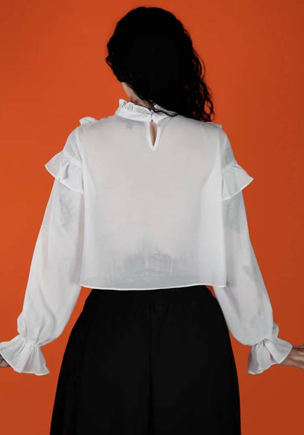 Vintage-Inspired Phantasm Long Sleeve Chiffon Top
