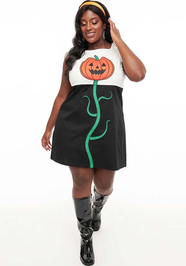 1960s Style Black and White Color - Blocked Pumpkin Head Embroidered Shift Dress