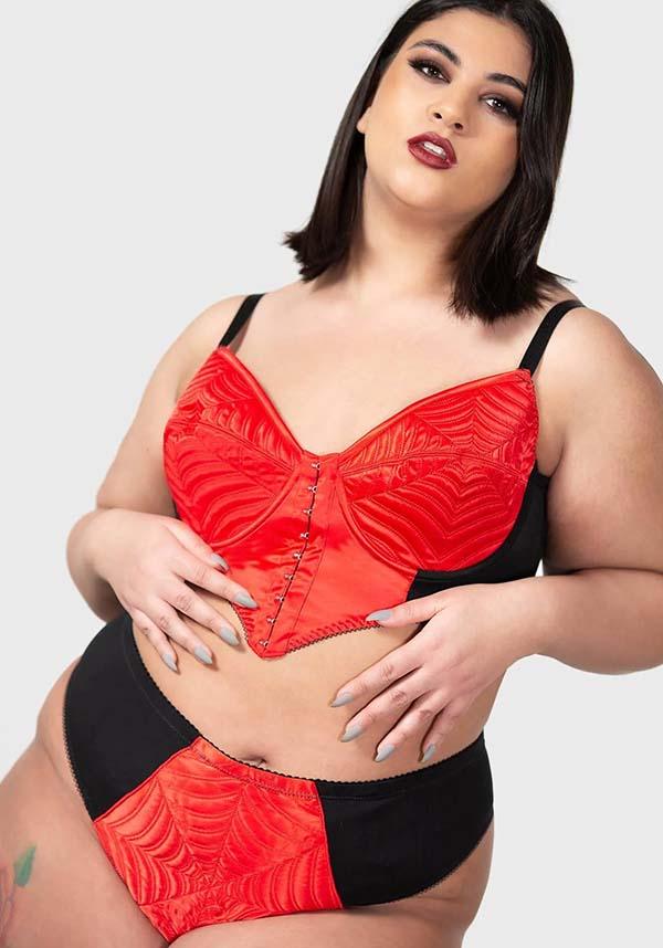 Scarlet Soft-Stretch Spiderweb High-Waisted Panty