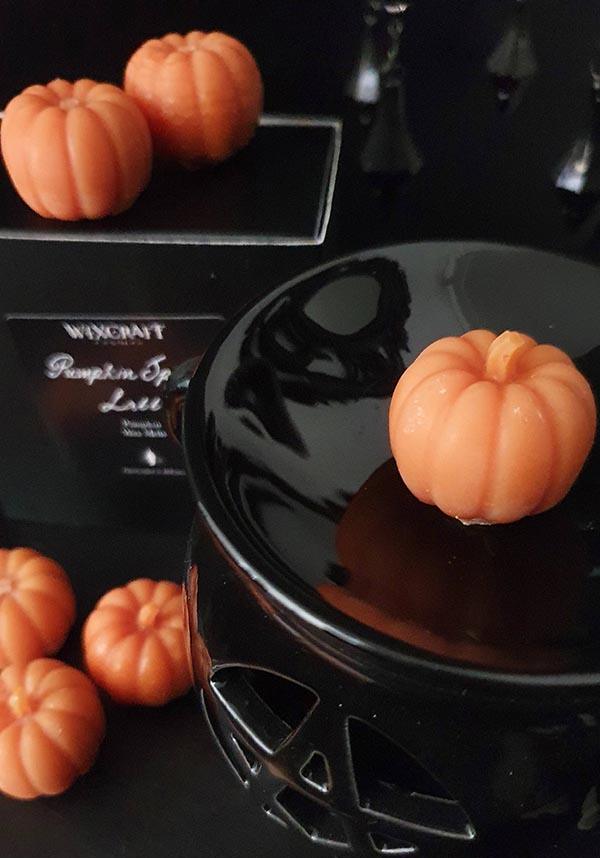 6-Piece Set of Pumpkin-Scented Wax Melts for a Cozy Home Fragrance