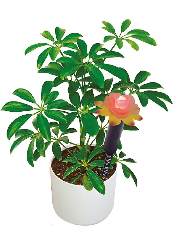Mayhem UK | Smart Flower Moisture Sensor for Healthy Plants