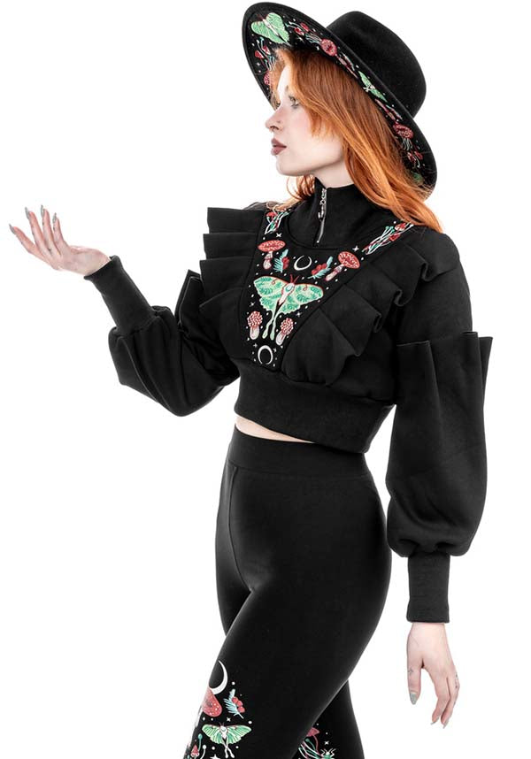 Stylish Restyle Autumnal Equinox Cropped Cotton Sweatshirt for Trendy Folks