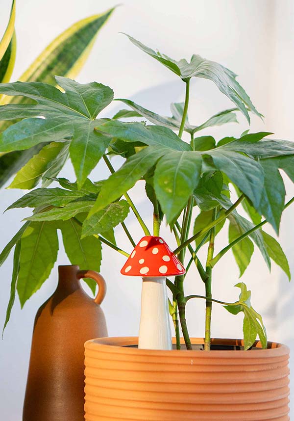 Amanita Mushroom-Shaped Self-Watering System for Indoor Plants