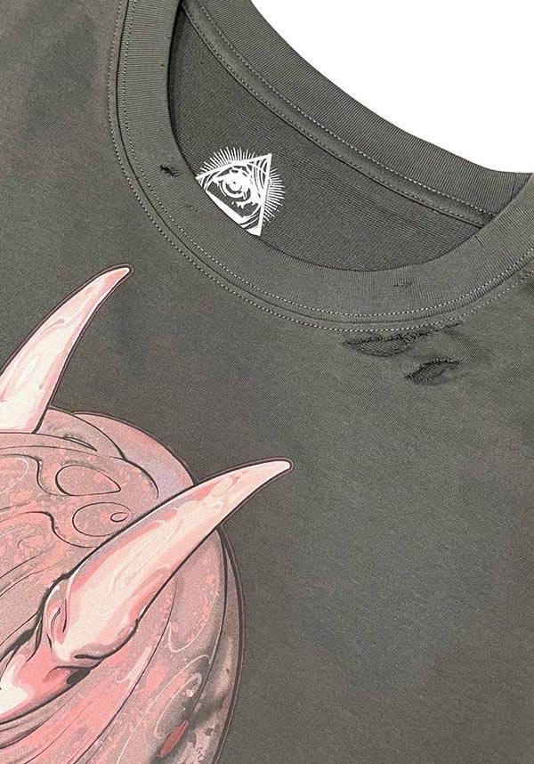 Grey Chrysalis Design T-Shirt from the 'Haunted Hallucinogens' Collection
