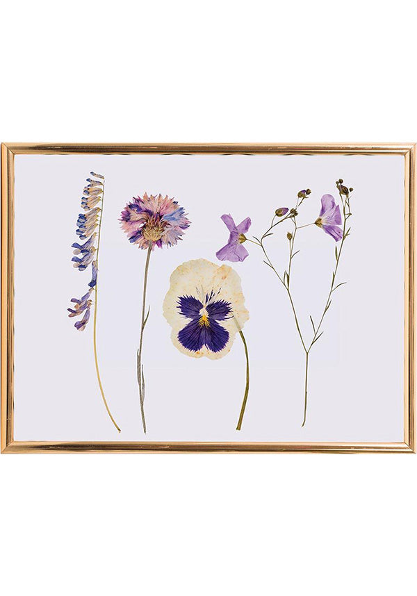 Sustainable Wooden Classic Flower Press for Preserving Flora