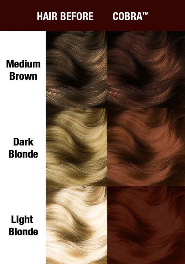 Cobra Amplified Semi - Permanent Cream Hair Dye with Light Cocoa Brown and Chestnut Undertones