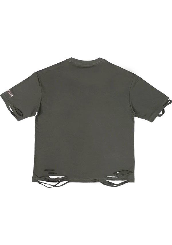 Grey Chrysalis Design T-Shirt from the 'Haunted Hallucinogens' Collection