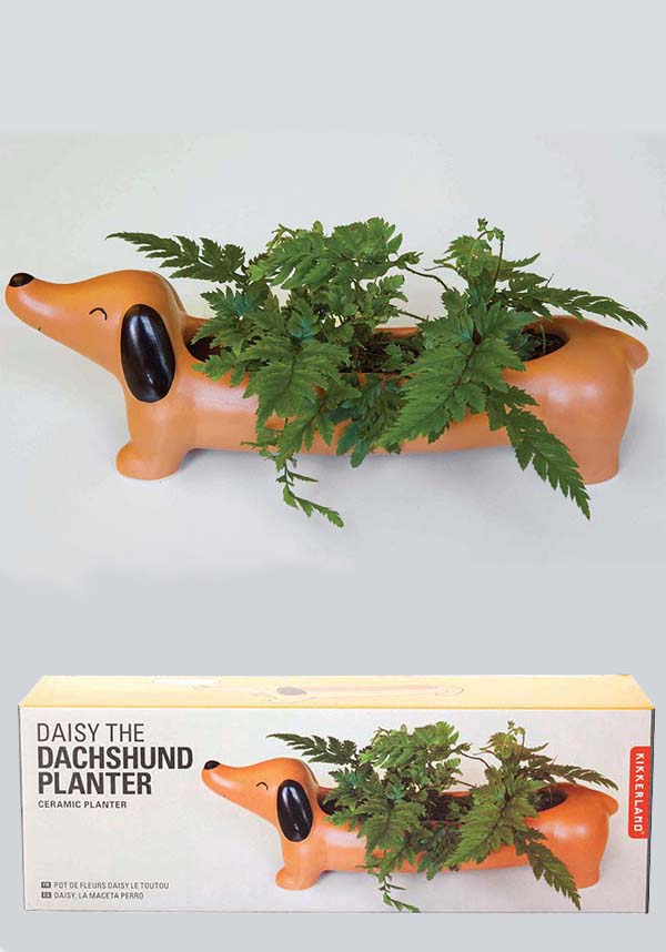Daisy the Dachshund Ceramic Planter for Desktop and Home Decor