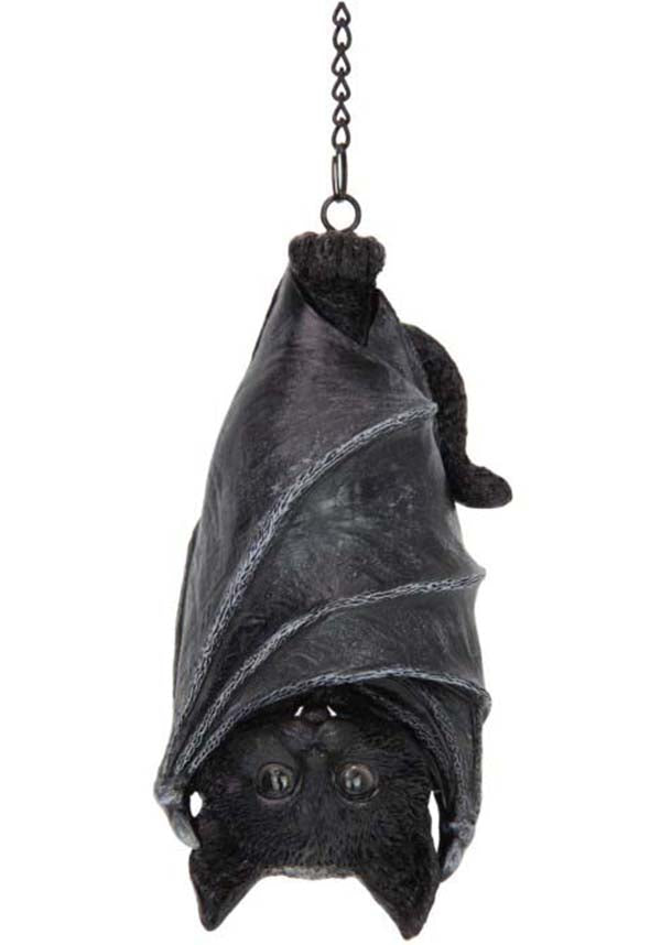 Felidavian Gothic Resin Hanger for Cat Lovers Outside Crypt