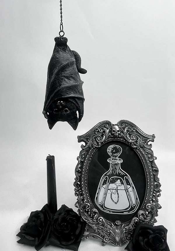 Felidavian Gothic Resin Hanger for Cat Lovers Outside Crypt