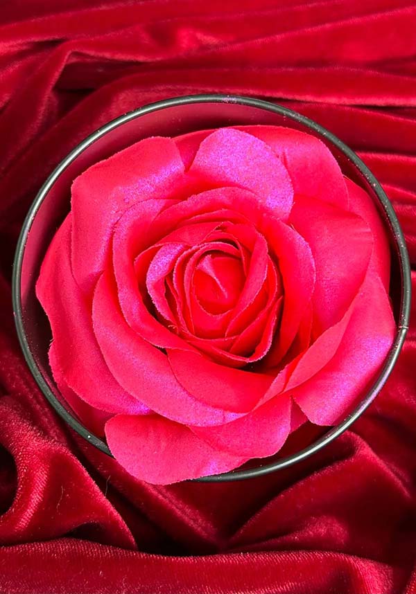 Times Up Shimmering ROSEY LUSH Blush Makeup Product