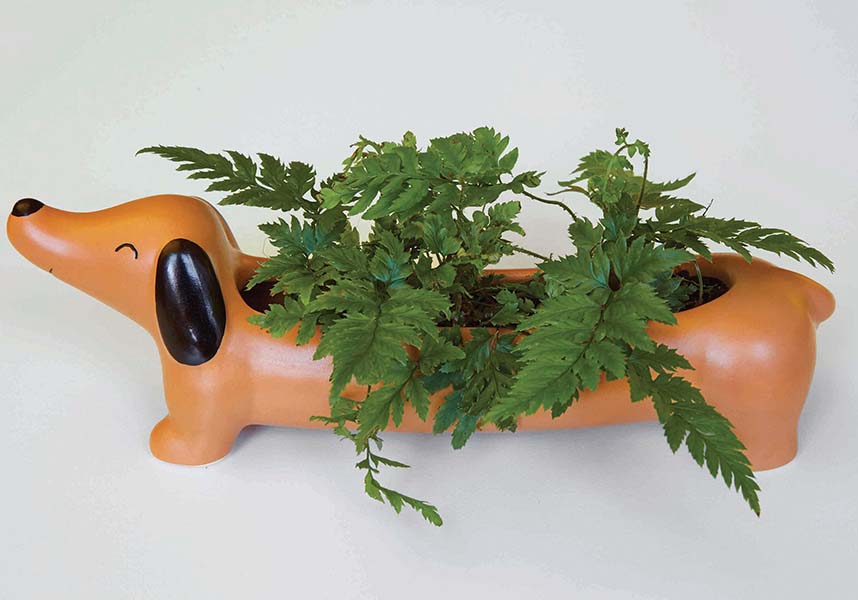 Daisy the Dachshund Ceramic Planter for Desktop and Home Decor