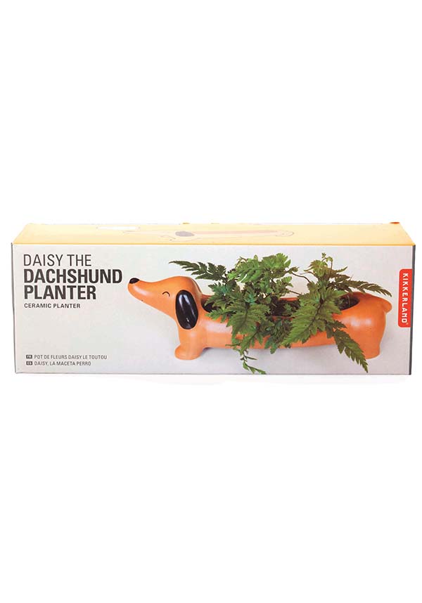 Daisy the Dachshund Ceramic Planter for Desktop and Home Decor