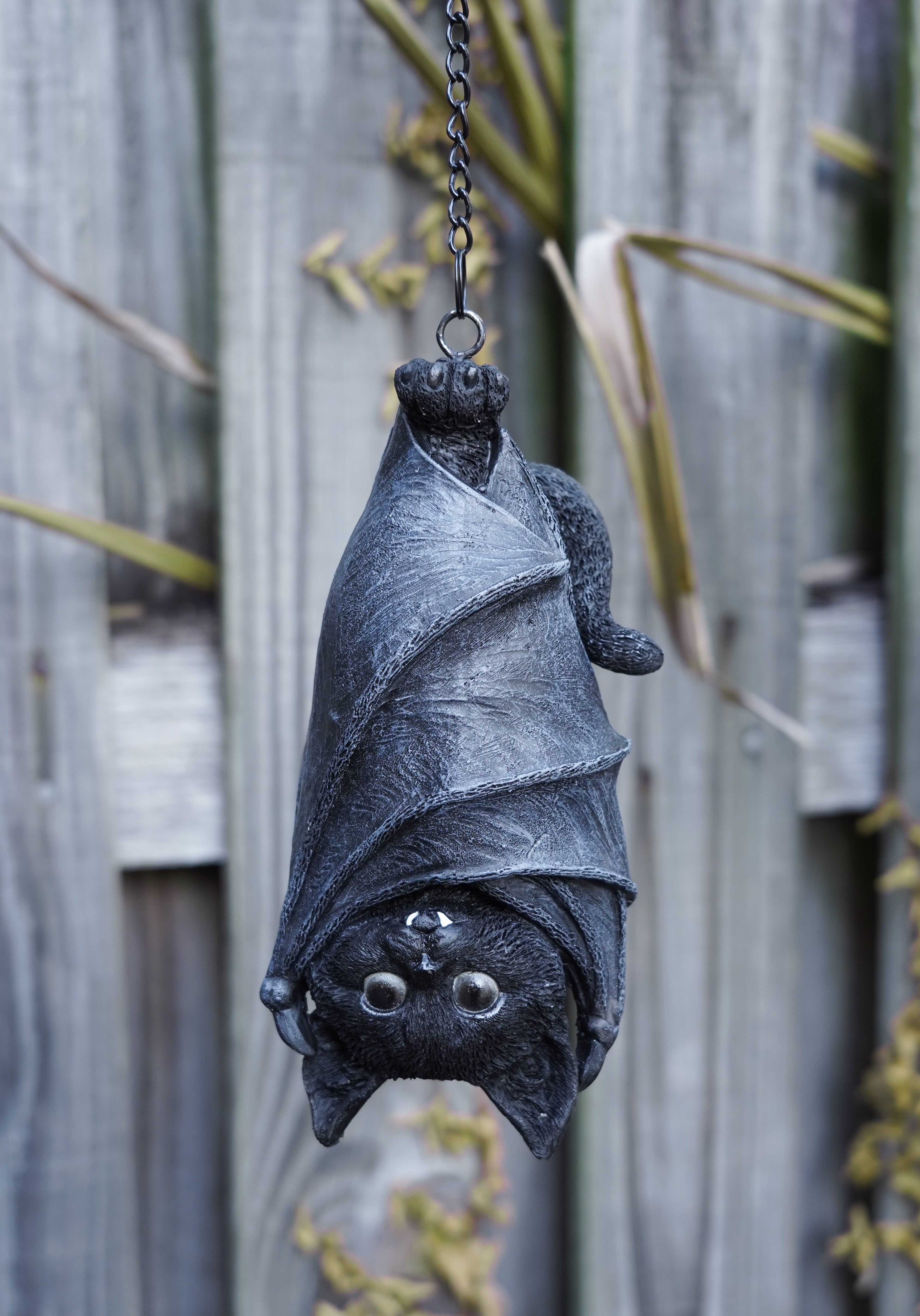 Felidavian Gothic Resin Hanger for Cat Lovers Outside Crypt