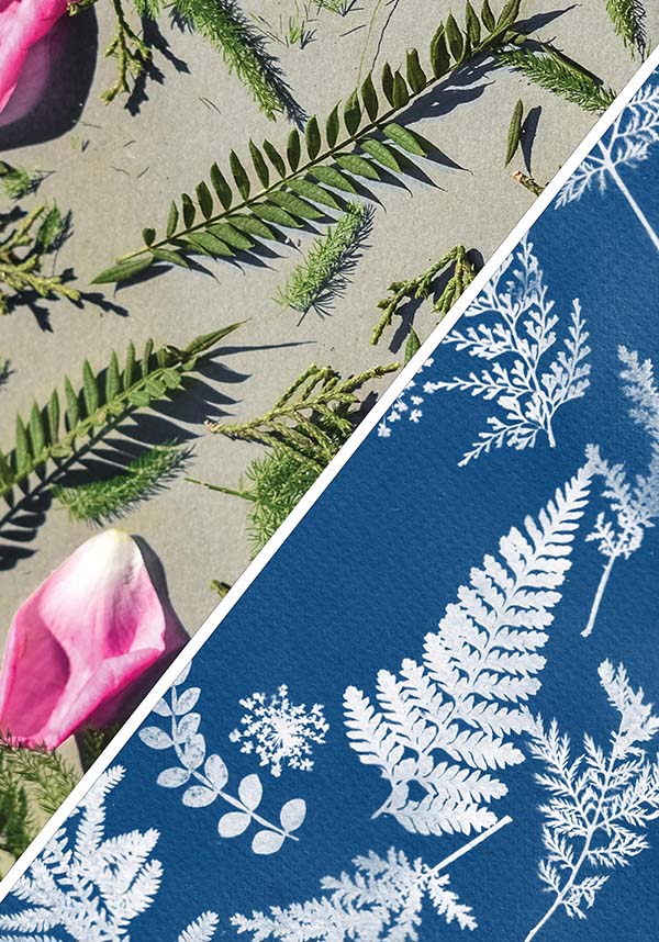 Cyanotype Sun - Sun Sensitive Photography Paper for Creative Printing