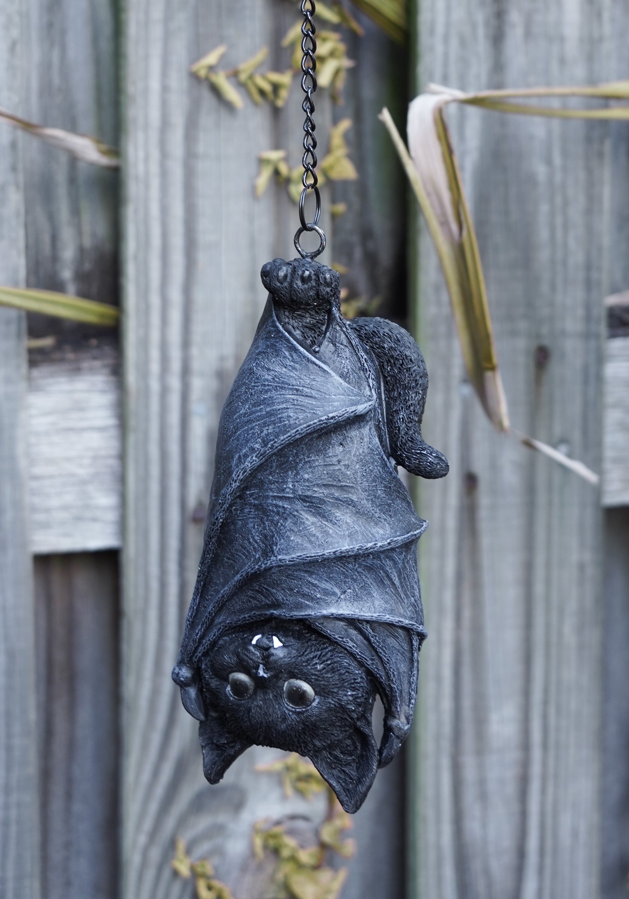 Felidavian Gothic Resin Hanger for Cat Lovers Outside Crypt