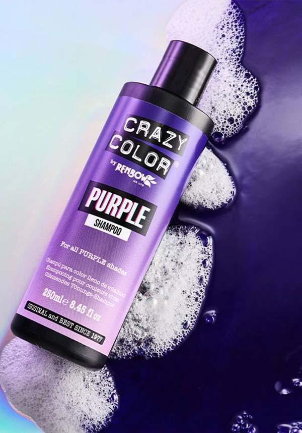 Vibrant Purple Pigmented Shampoo for Refreshing and Prolonging Purple Hair Color