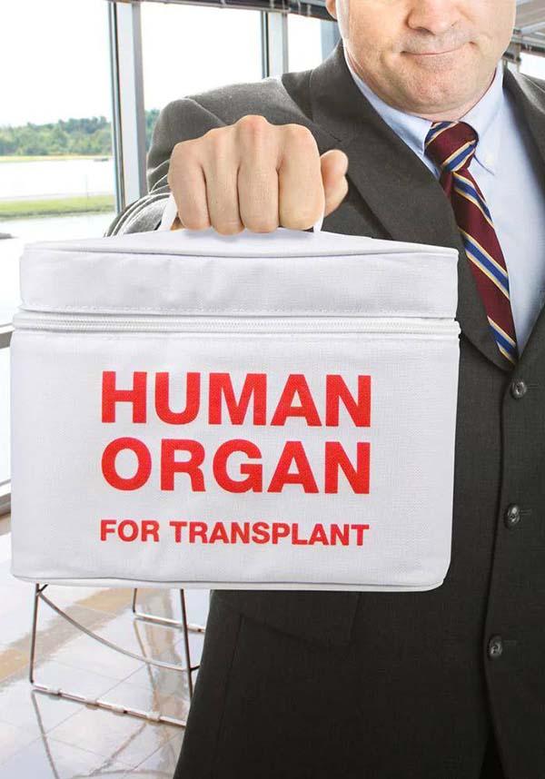Emergency Meal Transportation Solution - FRED HOMEWARES Insulated Lunch Bag Cooler