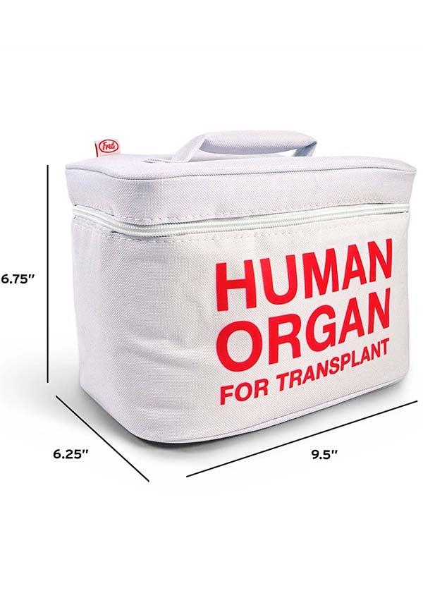 Emergency Meal Transportation Solution - FRED HOMEWARES Insulated Lunch Bag Cooler